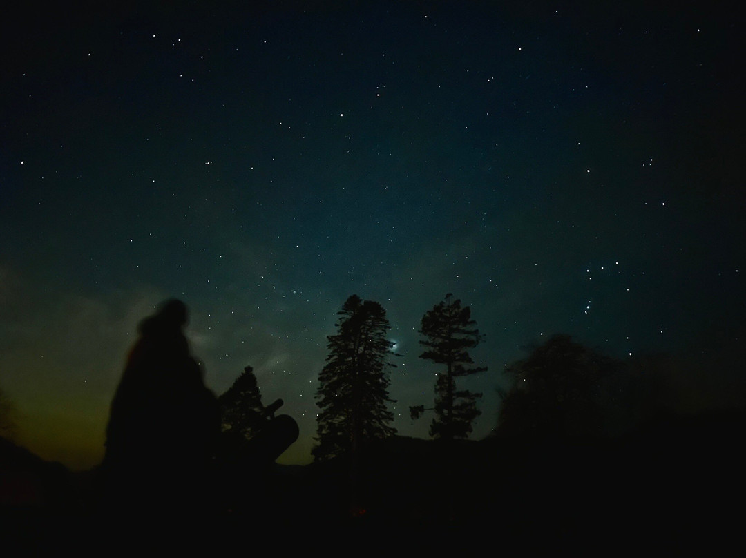 Grizedale Observatory-安布赛德必去景点