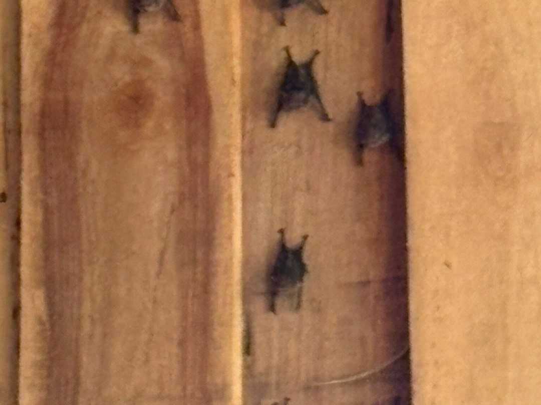 Maleku Tours-利比里亚必去景点