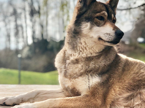 Fischer Adventures Day Tours-圣加仑必去景点