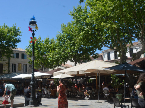 Place Saint Louis-艾格莫尔特必去景点