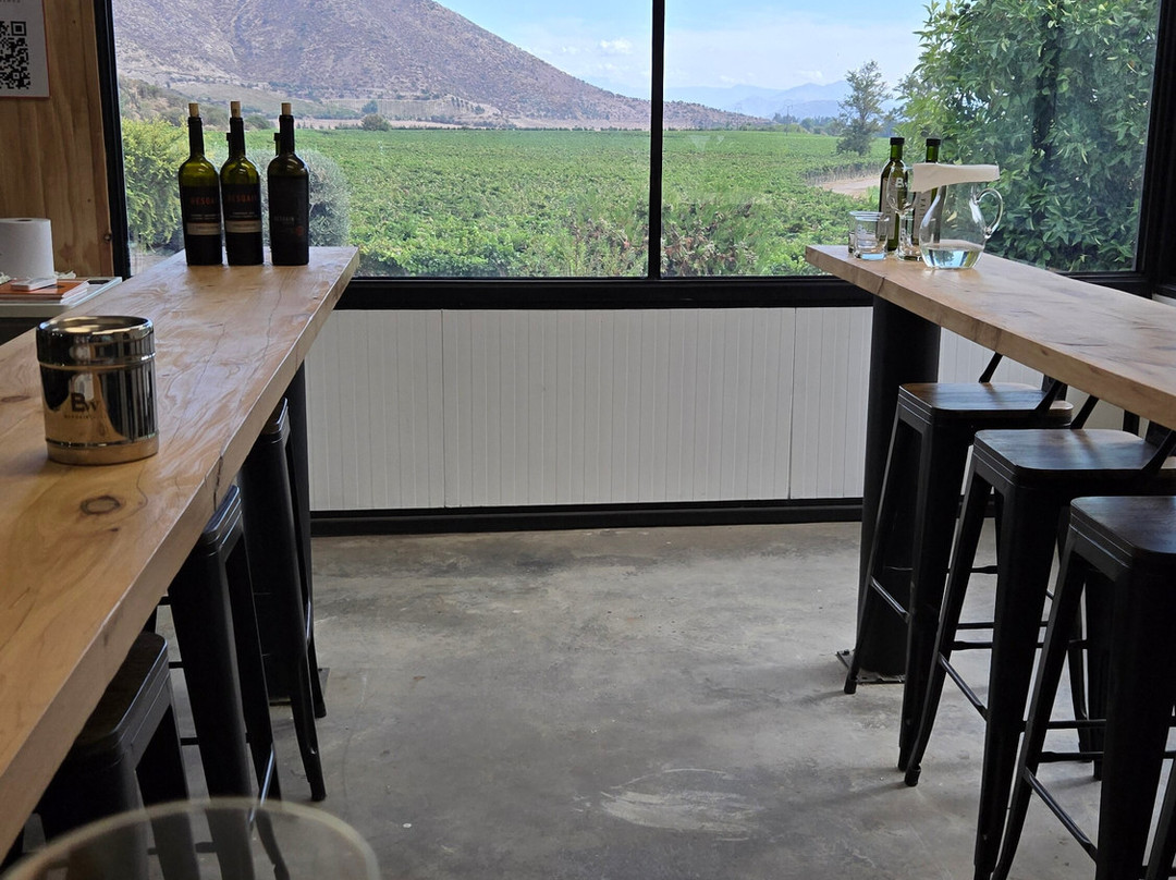 Besoain Wines-Pirque必去景点