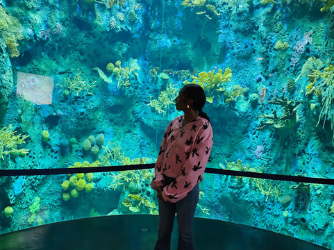 Biomuseo-巴拿马城必去景点