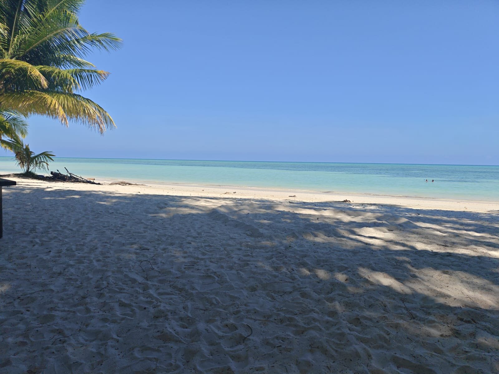 银沙滩度假村-哈夫洛克岛-泳池