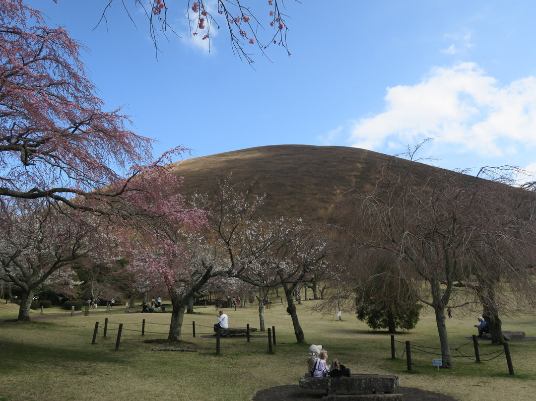 Sakura no Sato-伊东市必去景点