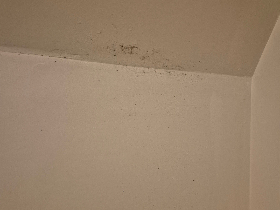 紫丁香住宿加早餐旅馆主图