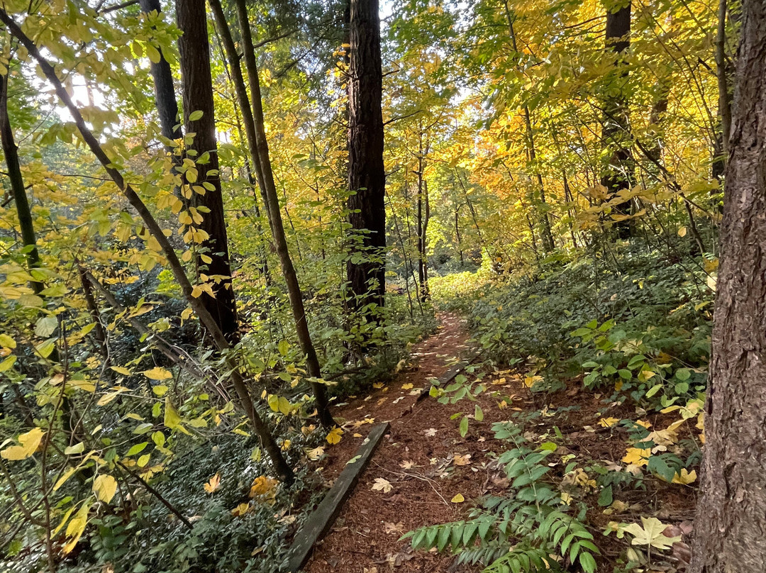 Kane Road Park-格雷舍姆必去景点