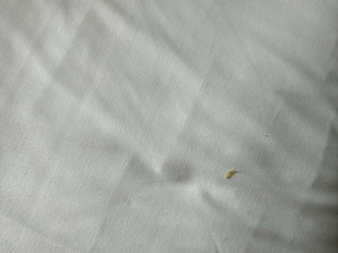 哥本哈根海滩公园斯堪迪克酒店主图