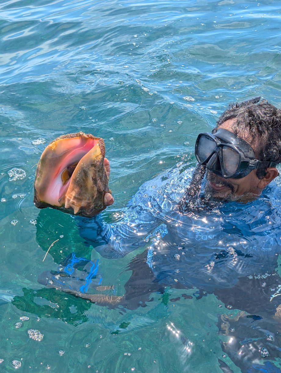 卡约科生态冒险小屋-官方