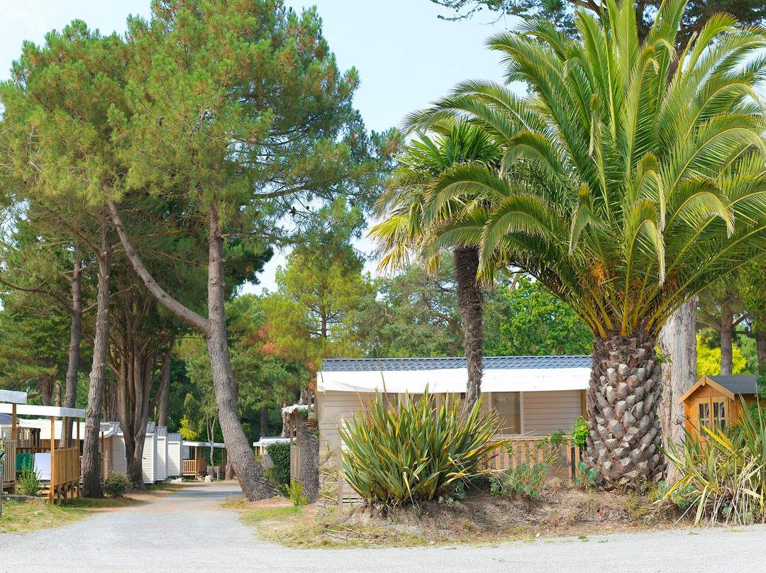 Flower Camping Le Vieux Moulin