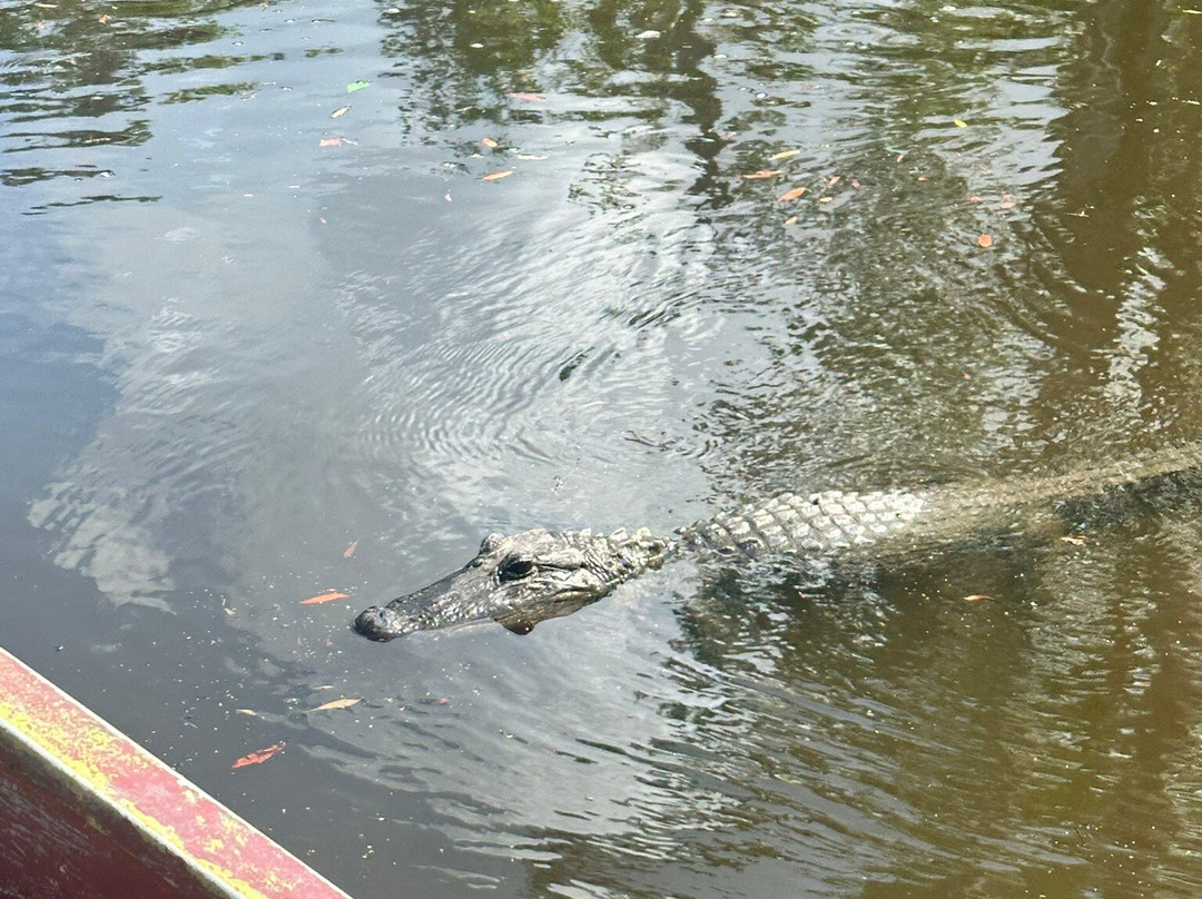 Airboat Adventures-Lafitte必去景点