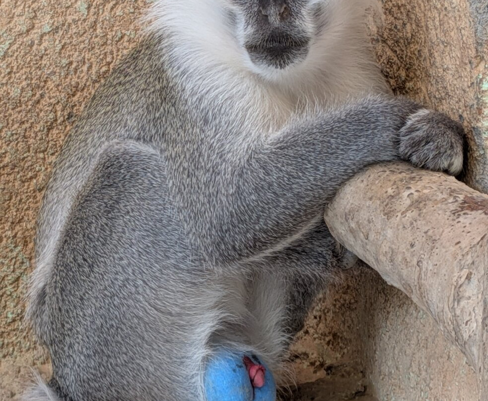 Hurghada Grand Aquarium-赫尔格达必去景点