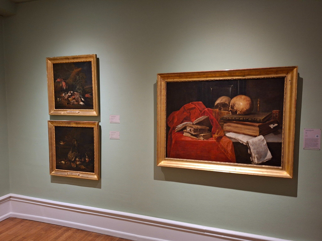 Musee des Beaux-Arts-米卢斯必去景点