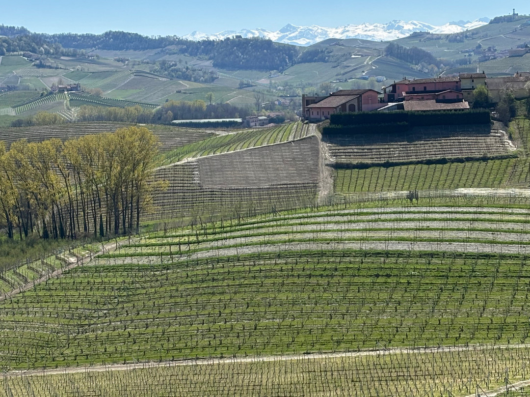 BikeSquare-Novello必去景点