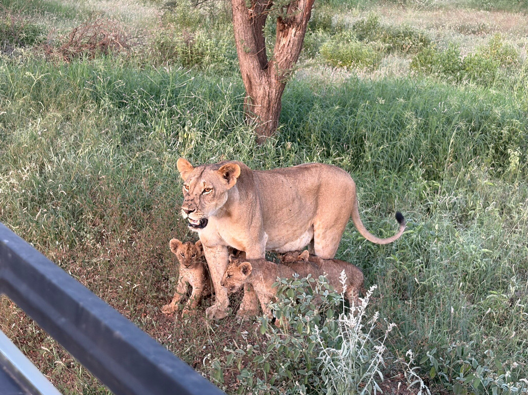 Pollman's Tours & Safaris-蒙巴萨必去景点