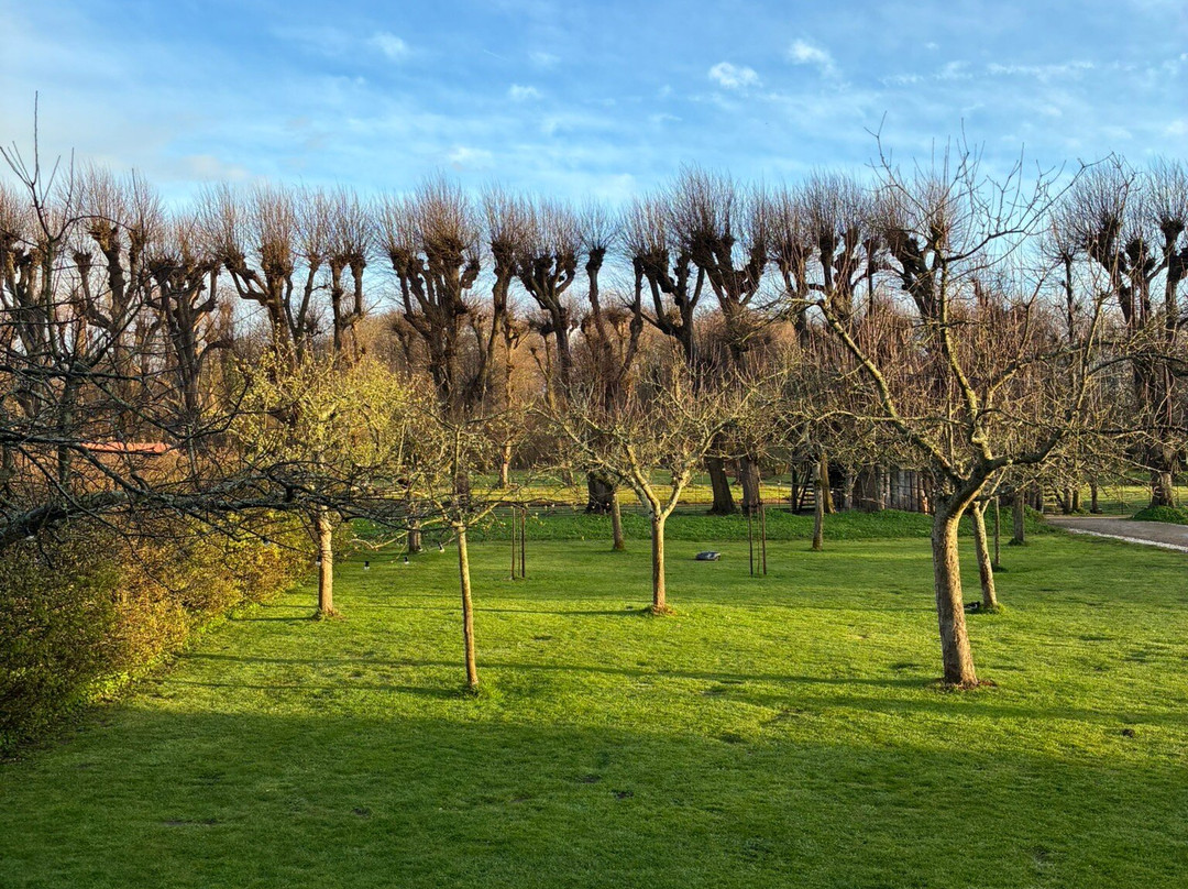 Elswout wandel-park van Staatsbosbeheer-Overveen必去景点