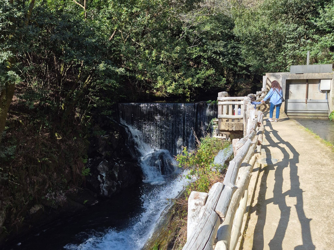 Museo Molinos Mazonovo-Taramundi必去景点