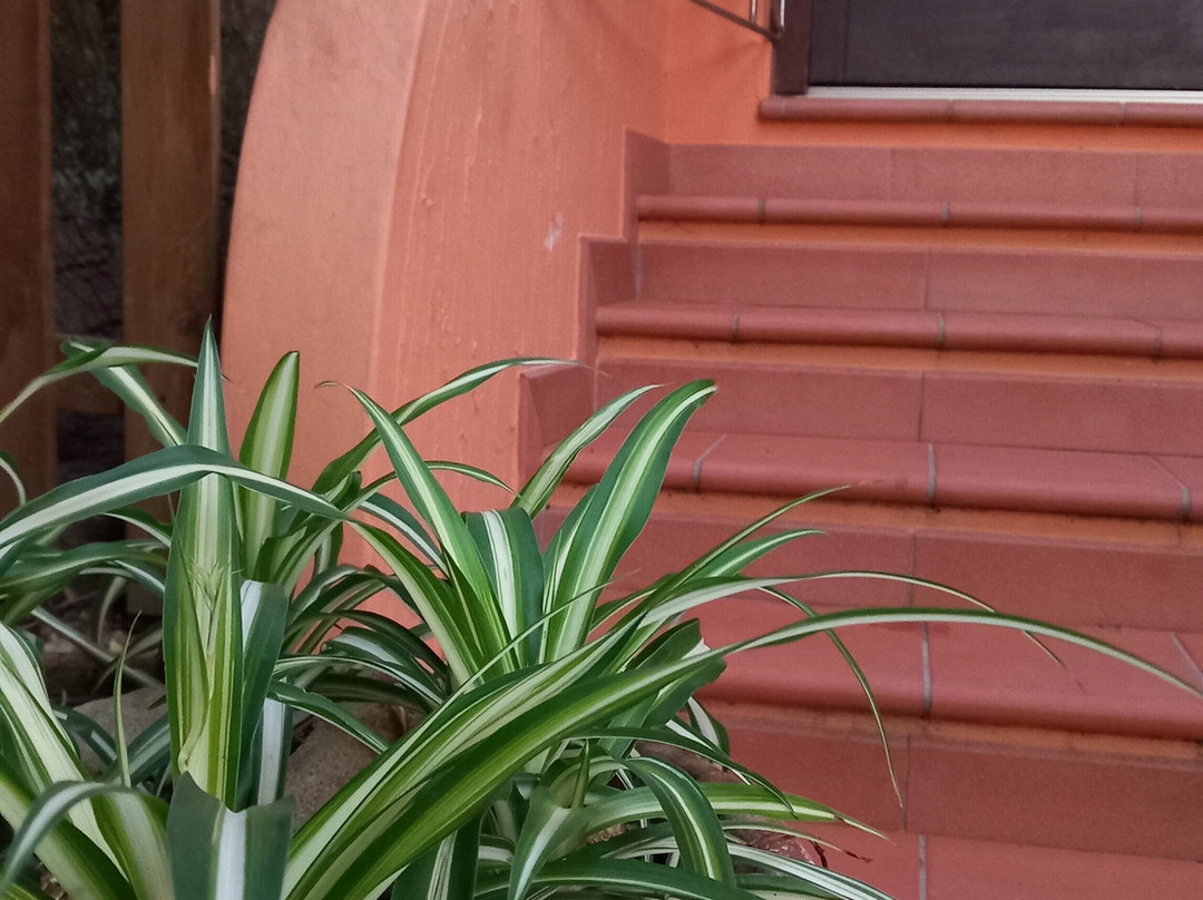 B&B Casa Zizzolo主图