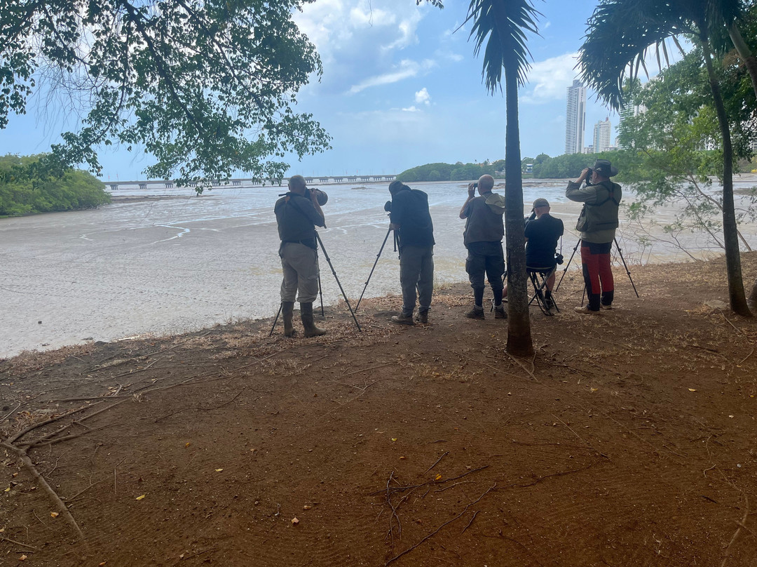 Yala Tours Panama-巴拿马城必去景点