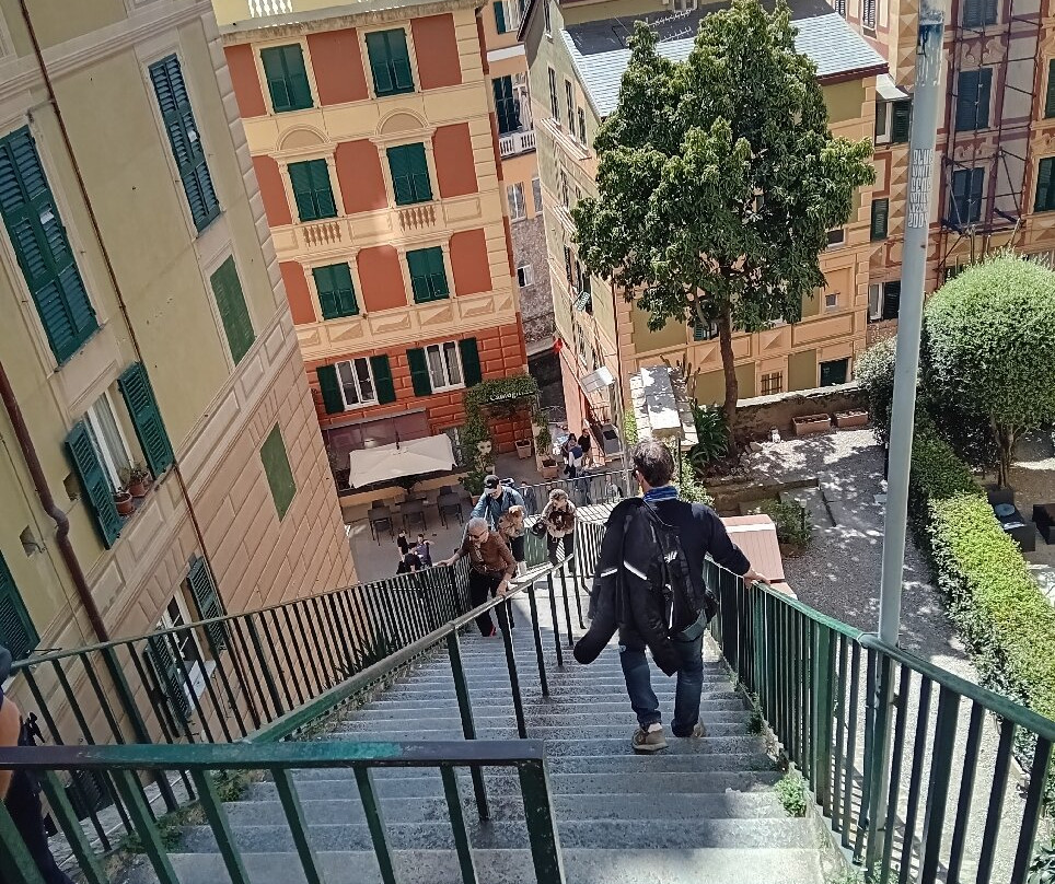 Lungomare di Camogli-卡莫利必去景点