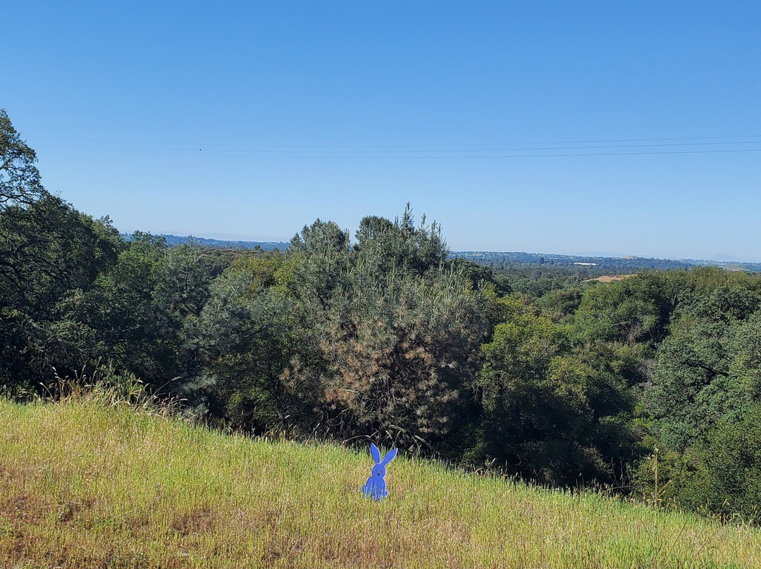 Rail Explorers: Amador CA Division-Ione必去景点