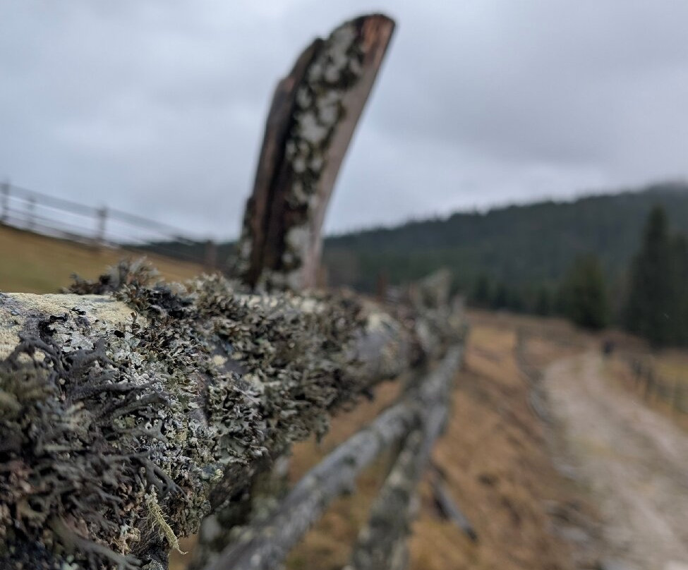 Via Transilvanica-Piatra Fantanele必去景点
