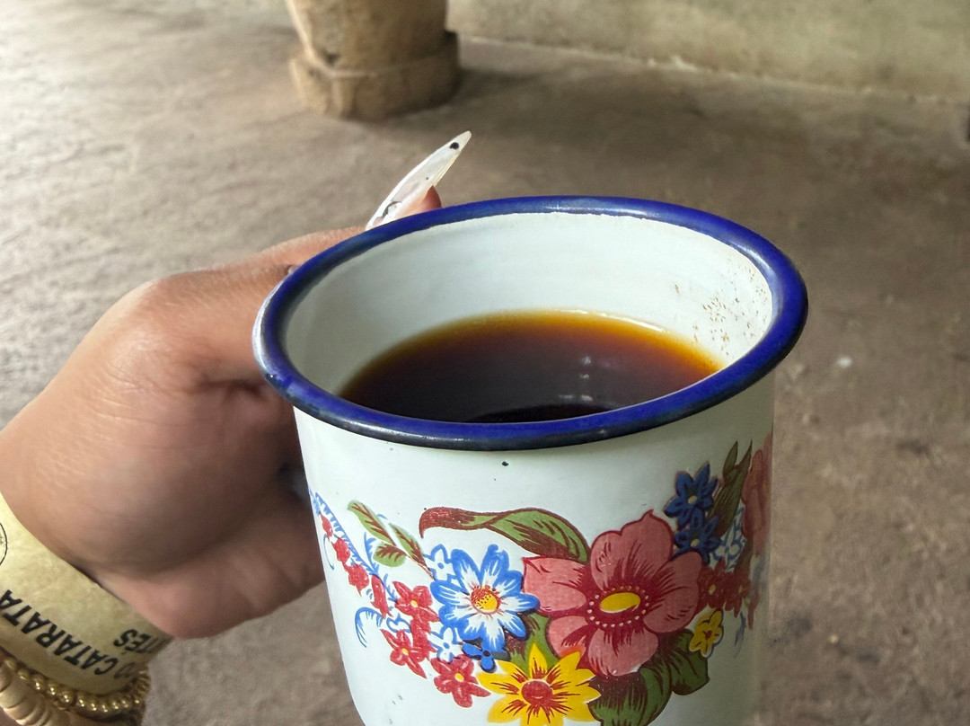 Cafe & Cacao Tour Bijagua-Bijagua de Upala必去景点