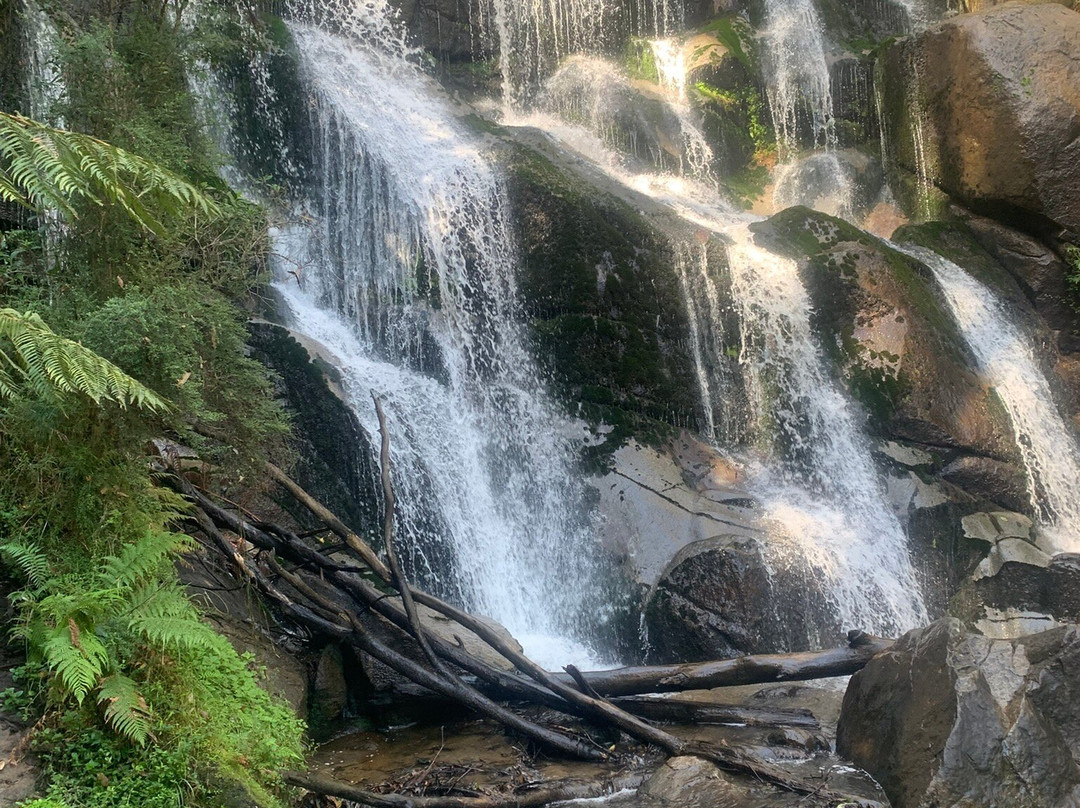 Toorongo Falls-Noojee必去景点