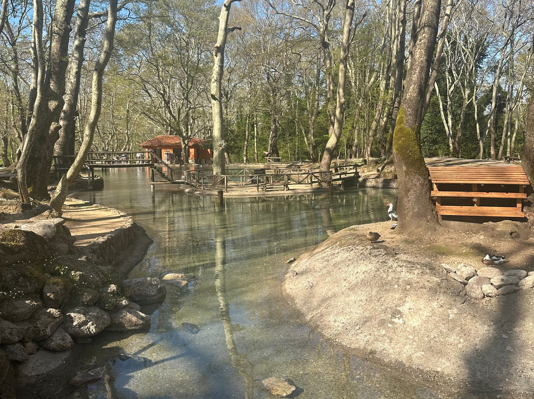 Agios Nikolaos Park-Naousa必去景点