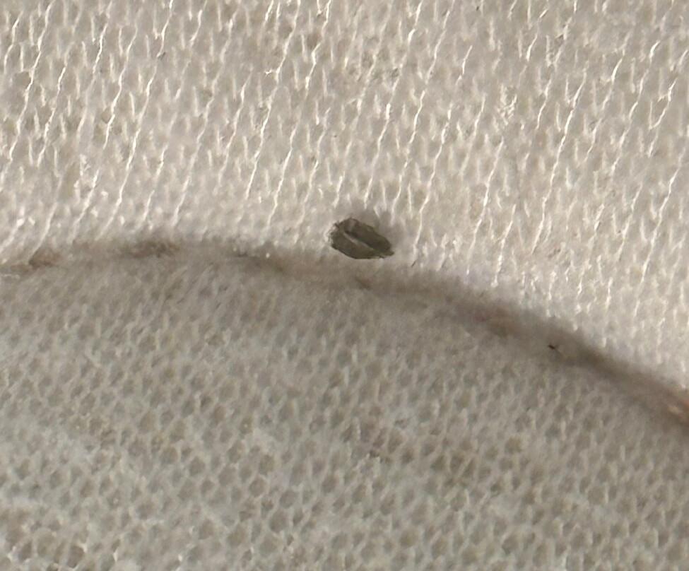 芝加哥迪尔菲尔德万豪酒店主图
