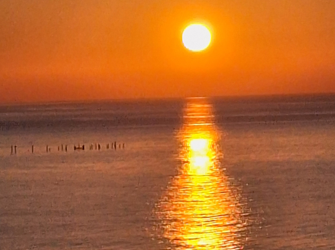 巴迪拉成人酒店主图