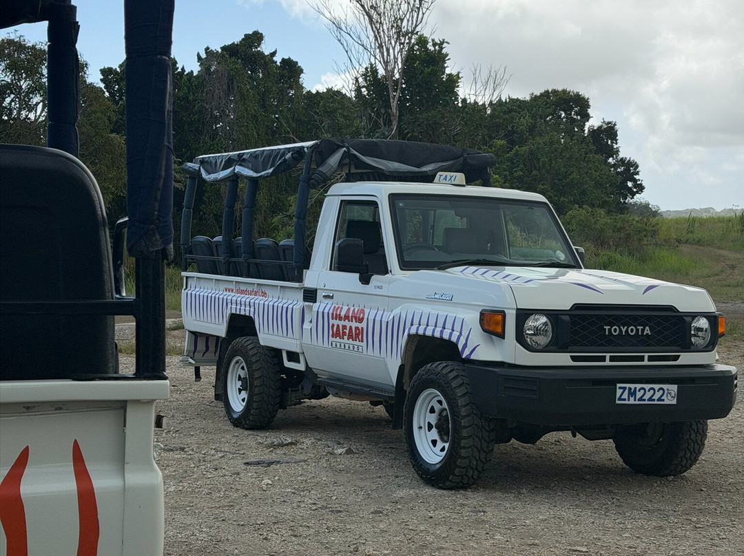 Island Safari Barbados-Saint Michael Parish必去景点