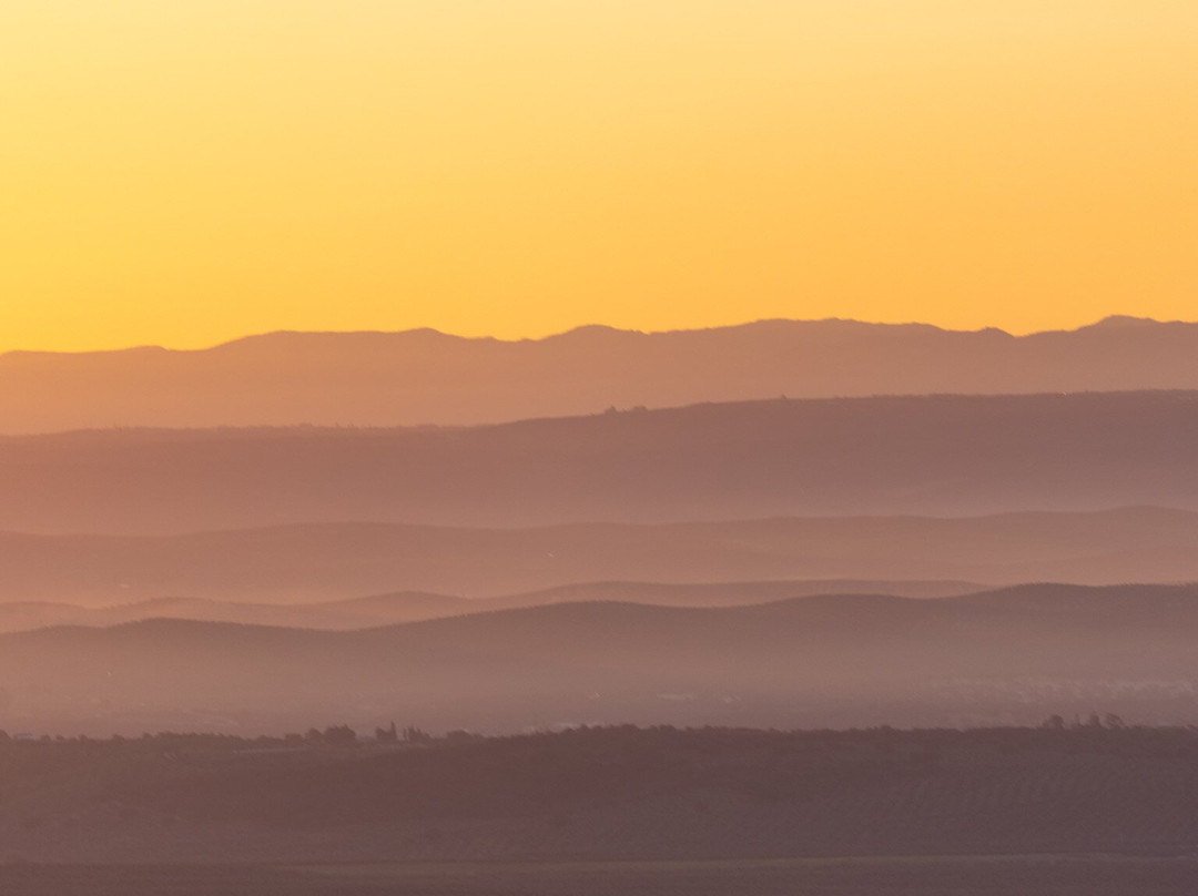 Iberian Lynx Land-Andujar必去景点