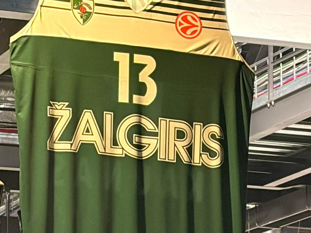 Zalgirio Arena-考那斯必去景点