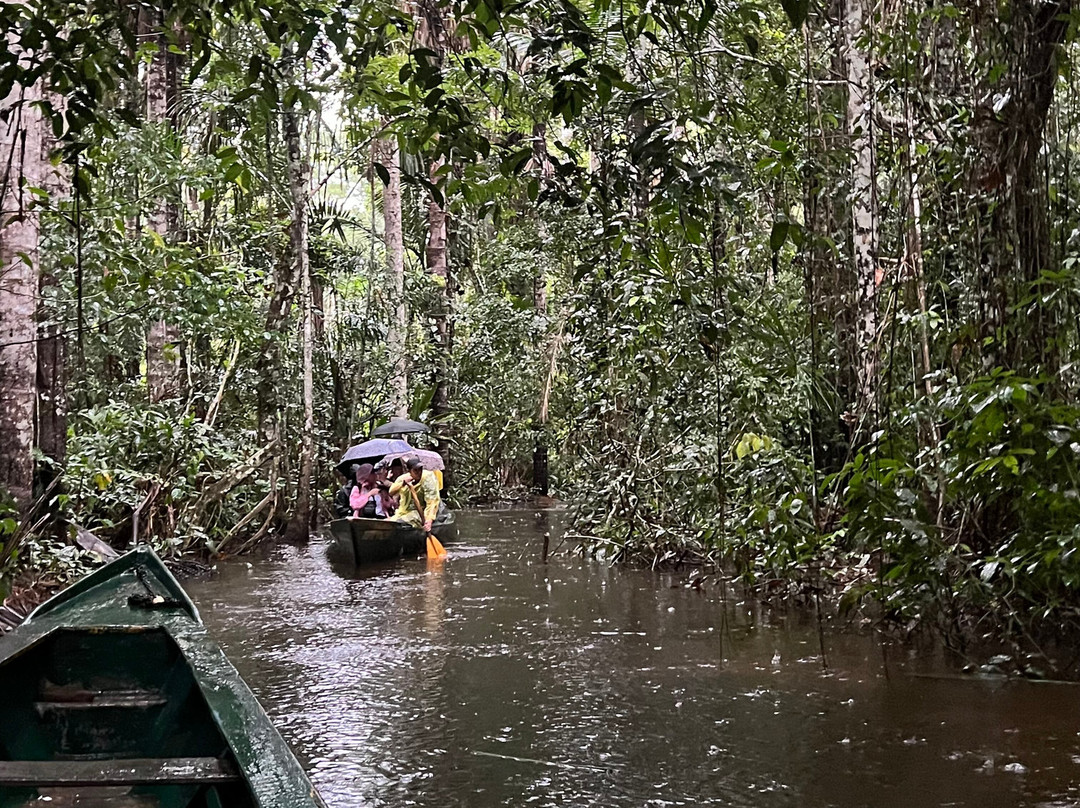 Corto Maltes Amazonia Lodge主图