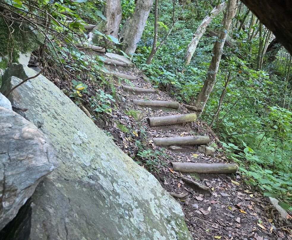 Marloth Nature Reserve-斯韦伦丹必去景点