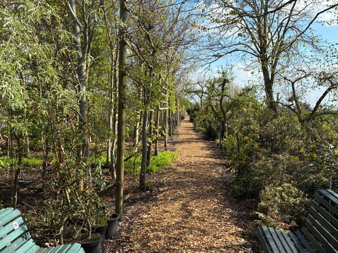 Tuinbouwmuseum Historische Tuin Aalsmeer-Aalsmeer必去景点