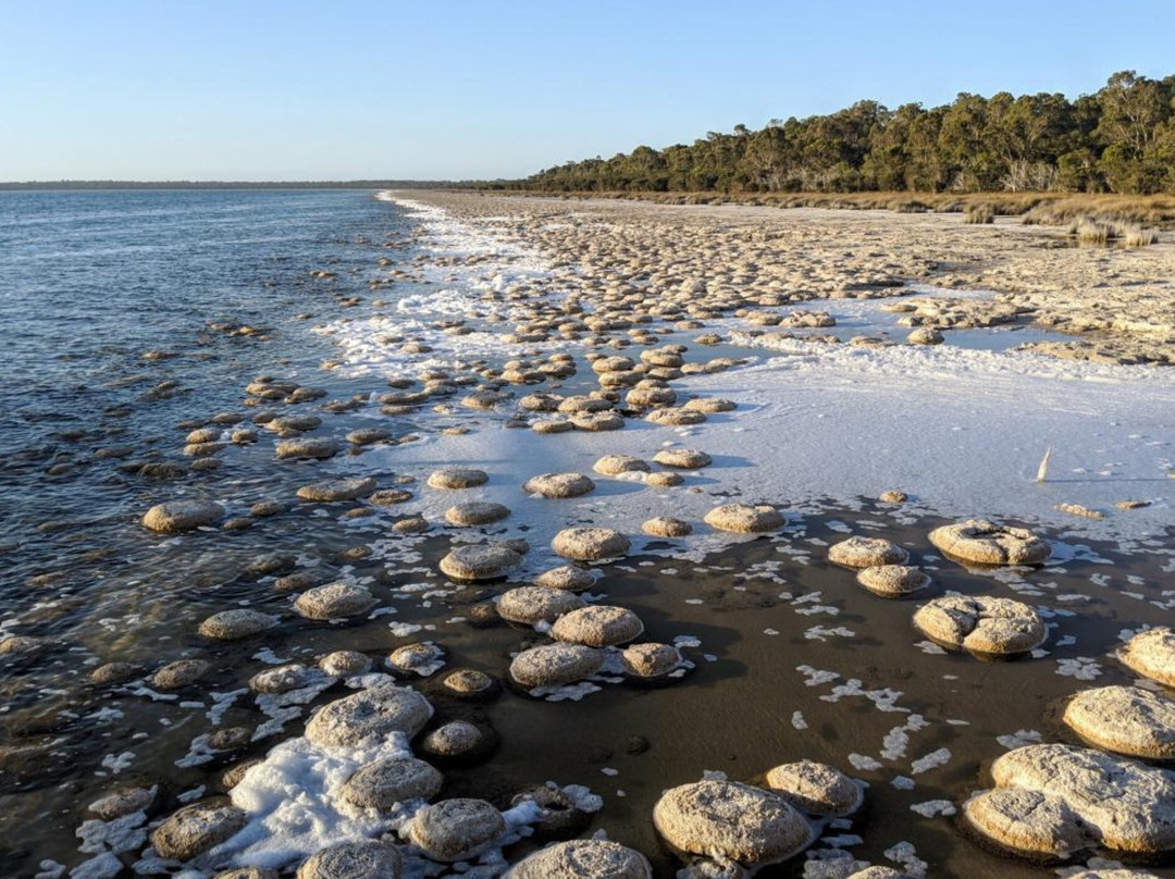 Thrombolites of Lake Clifton-Yalgorup National Park必去景点