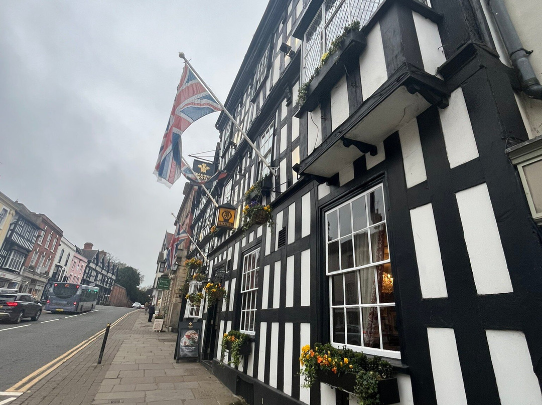 赫里福德郡莱德伯里羽毛酒店主图