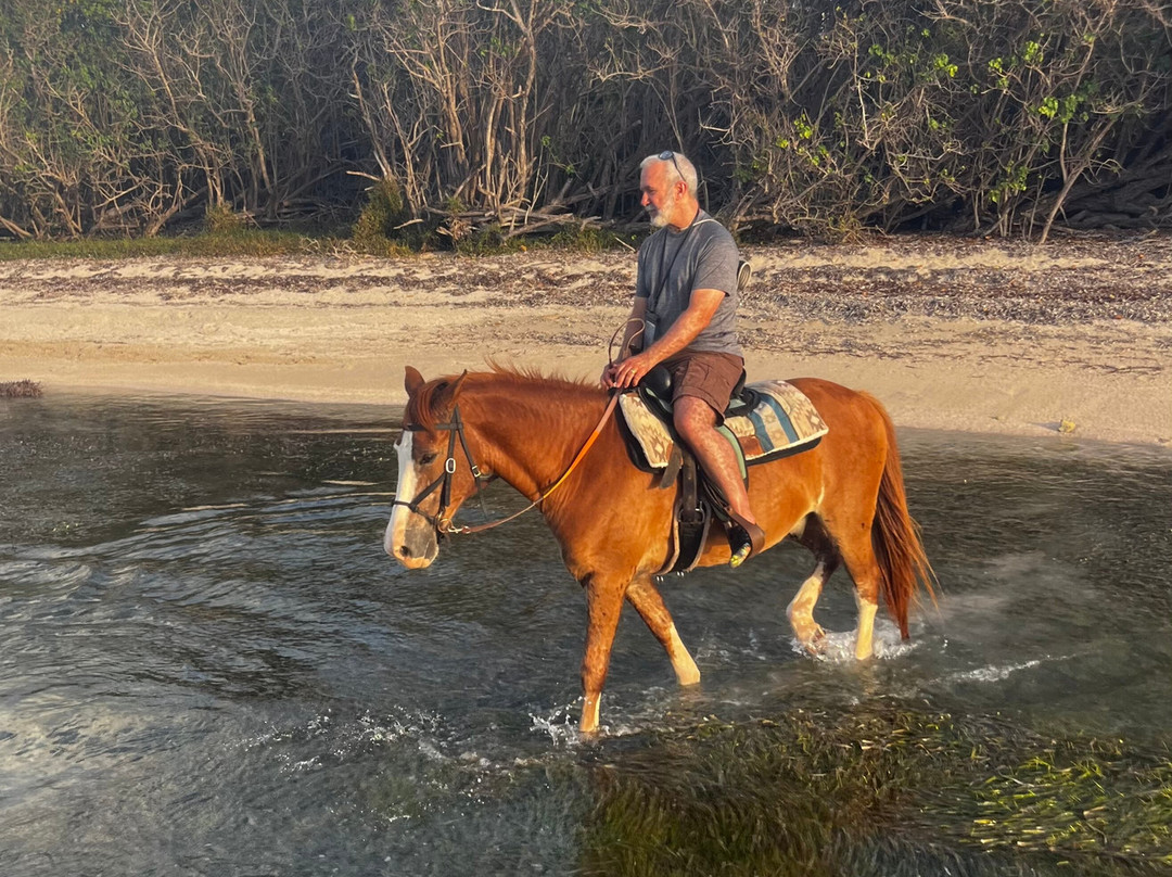 Equus Rides Horseback Riding St. Croix-Frederiksted必去景点