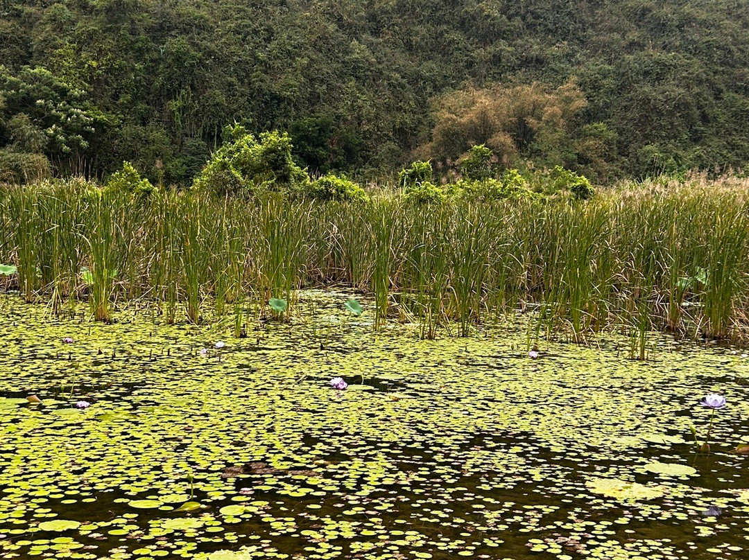 Trang An Tours-宁平必去景点