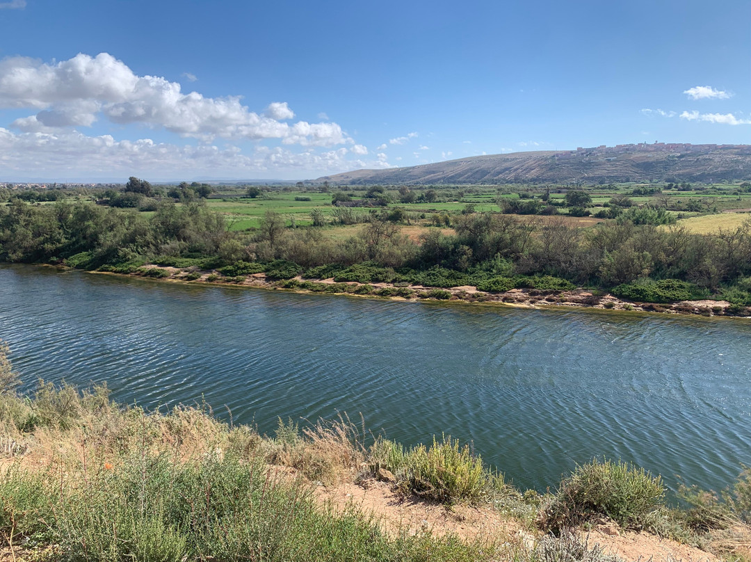 Parc Nacional de Souss-Massa-Takate必去景点