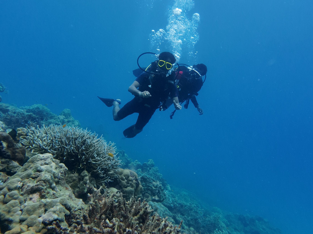 Turquoise Dream-Neil Island必去景点