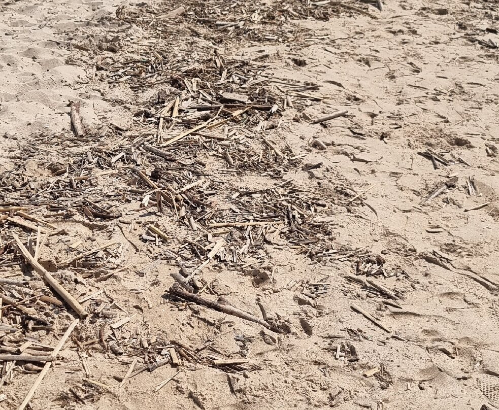 Praia da Torre-奥埃拉斯必去景点