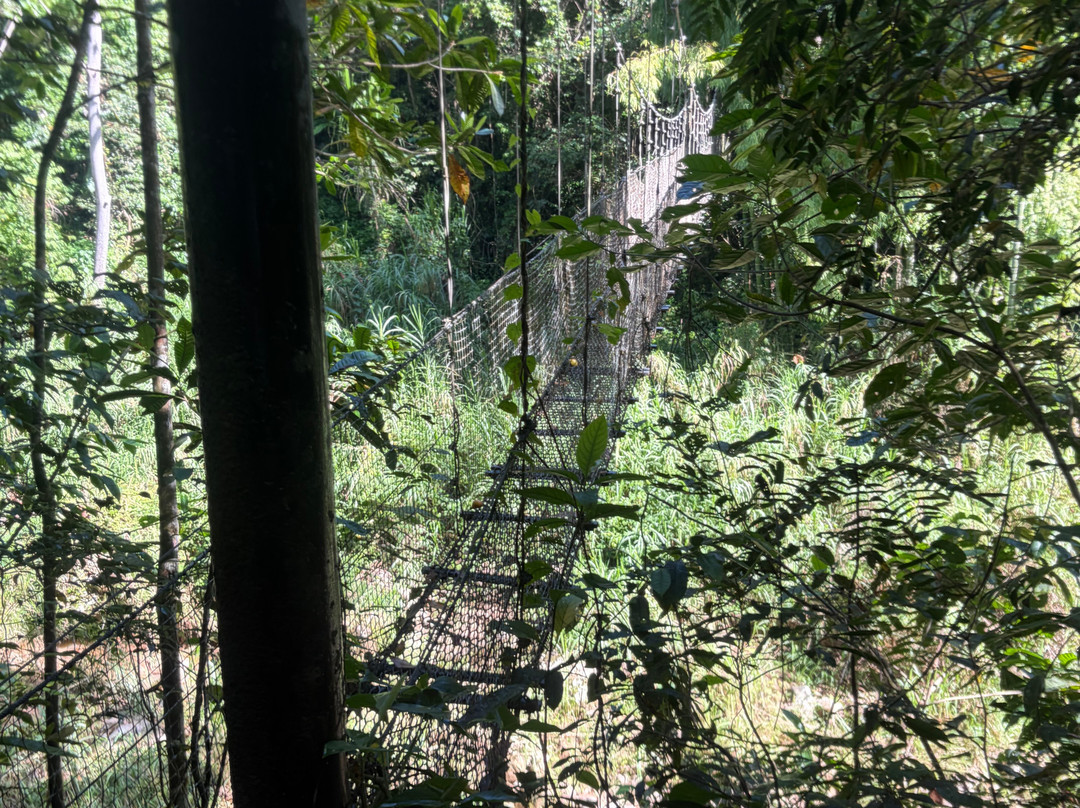Batey Adventures-Utuado必去景点