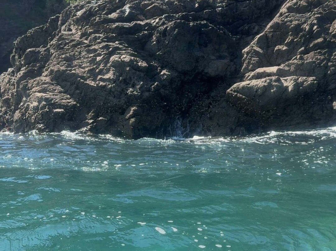 Kayak Mendocino-Little River必去景点