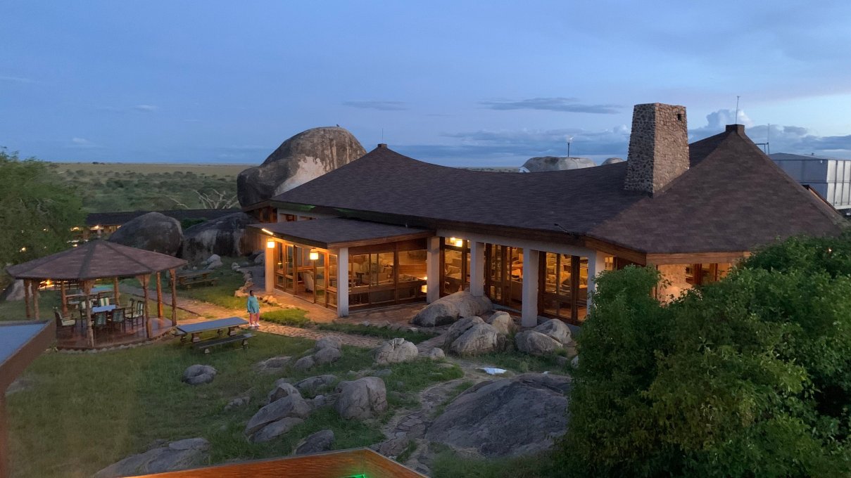 瑟洛尼拉野生旅馆-旅行者