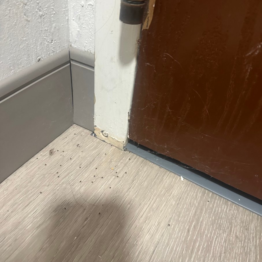 舒适套房酒店-近-旅行者