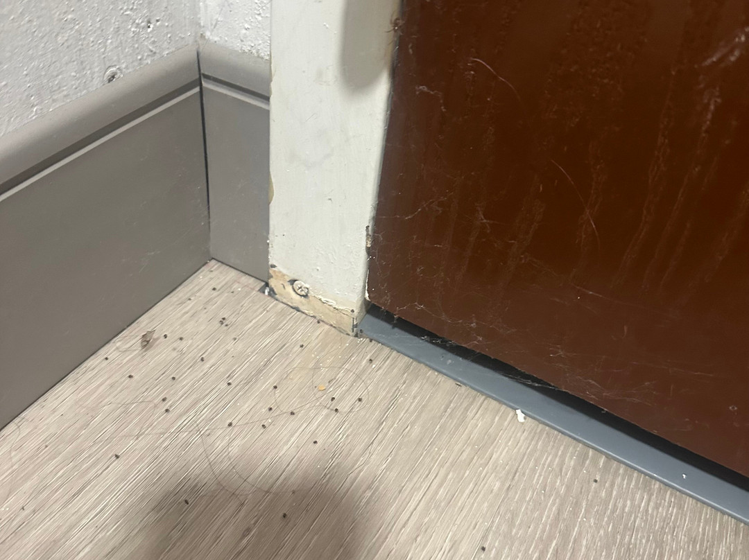 舒适套房酒店-近主图