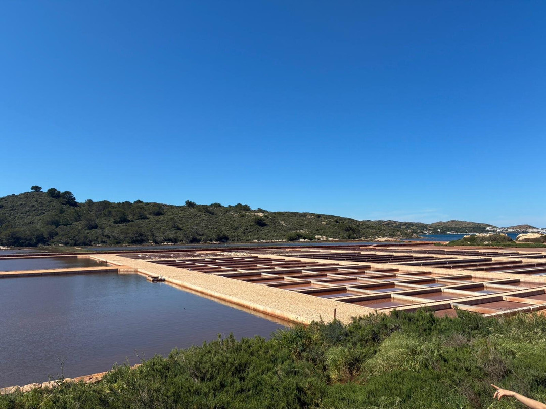 Sal de Menorca - Salinas de La Concepción