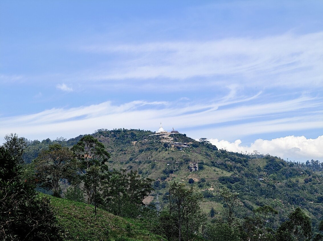 Ceylon Master Tours-Waskaduwa必去景点